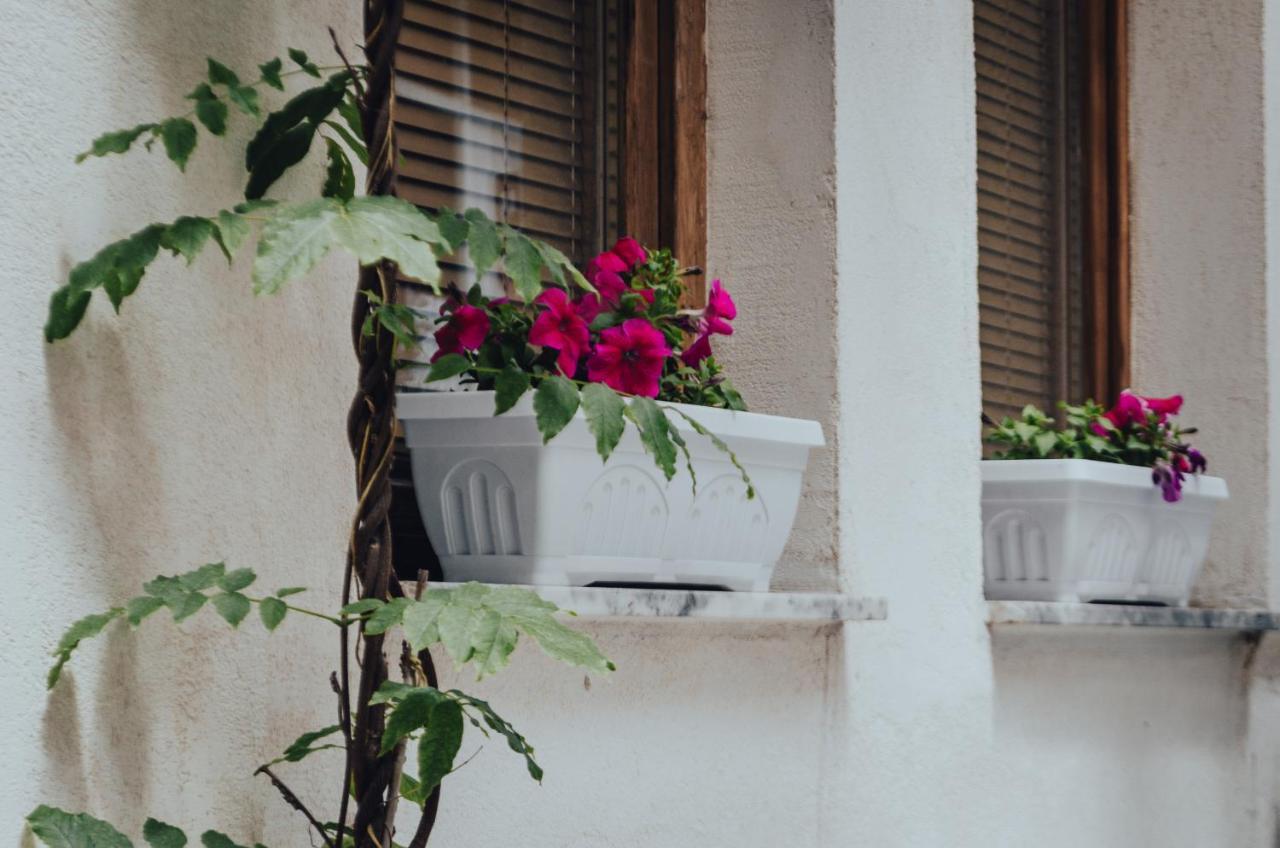 Oda Hostel Pristina Kültér fotó